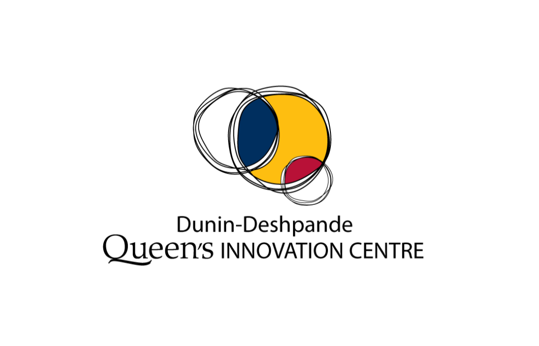 DDQIC logo