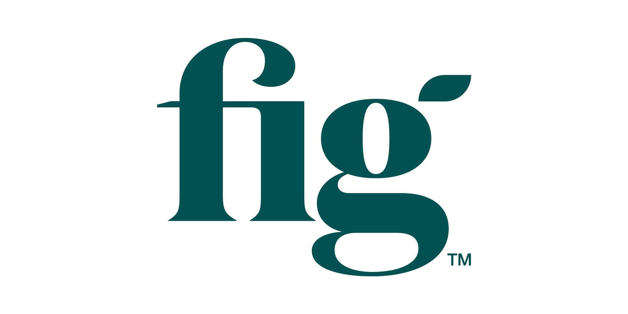 Fig Financial logo